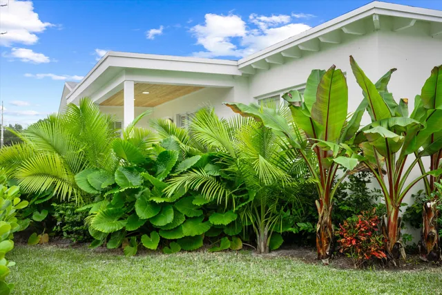 a front view of a house with yard
