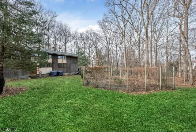 a view of a backyard with plants and large trees