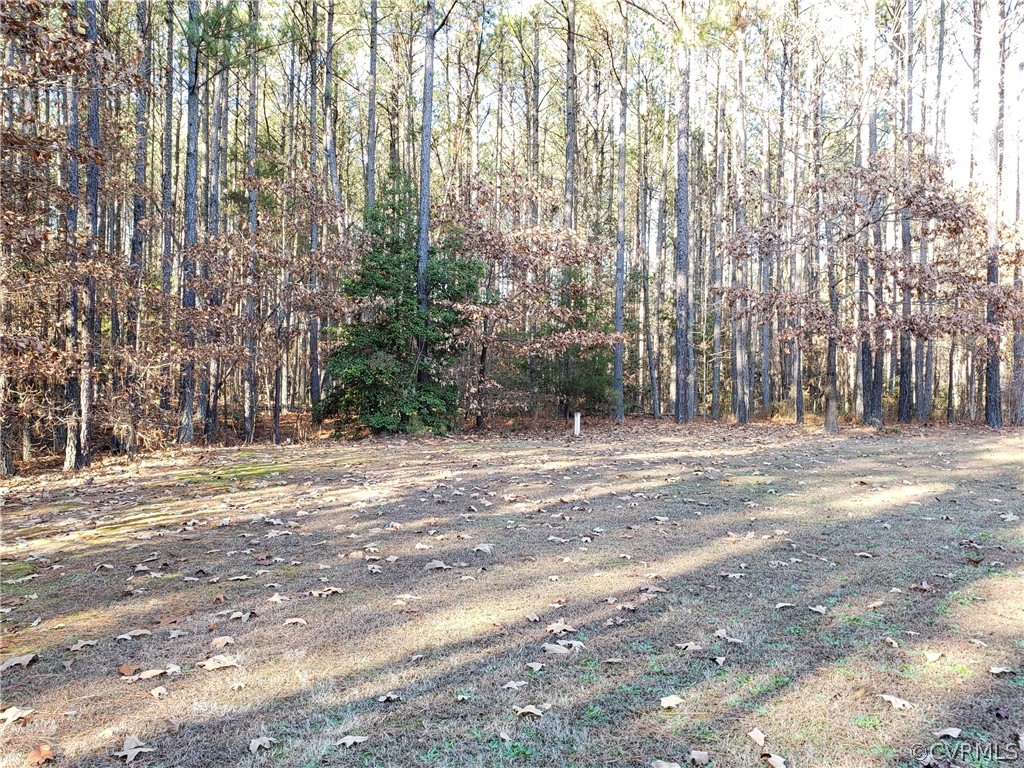 443 Crouches Road Bruington, VA 23023 - Photo 19 of 19 Gallery Image 19