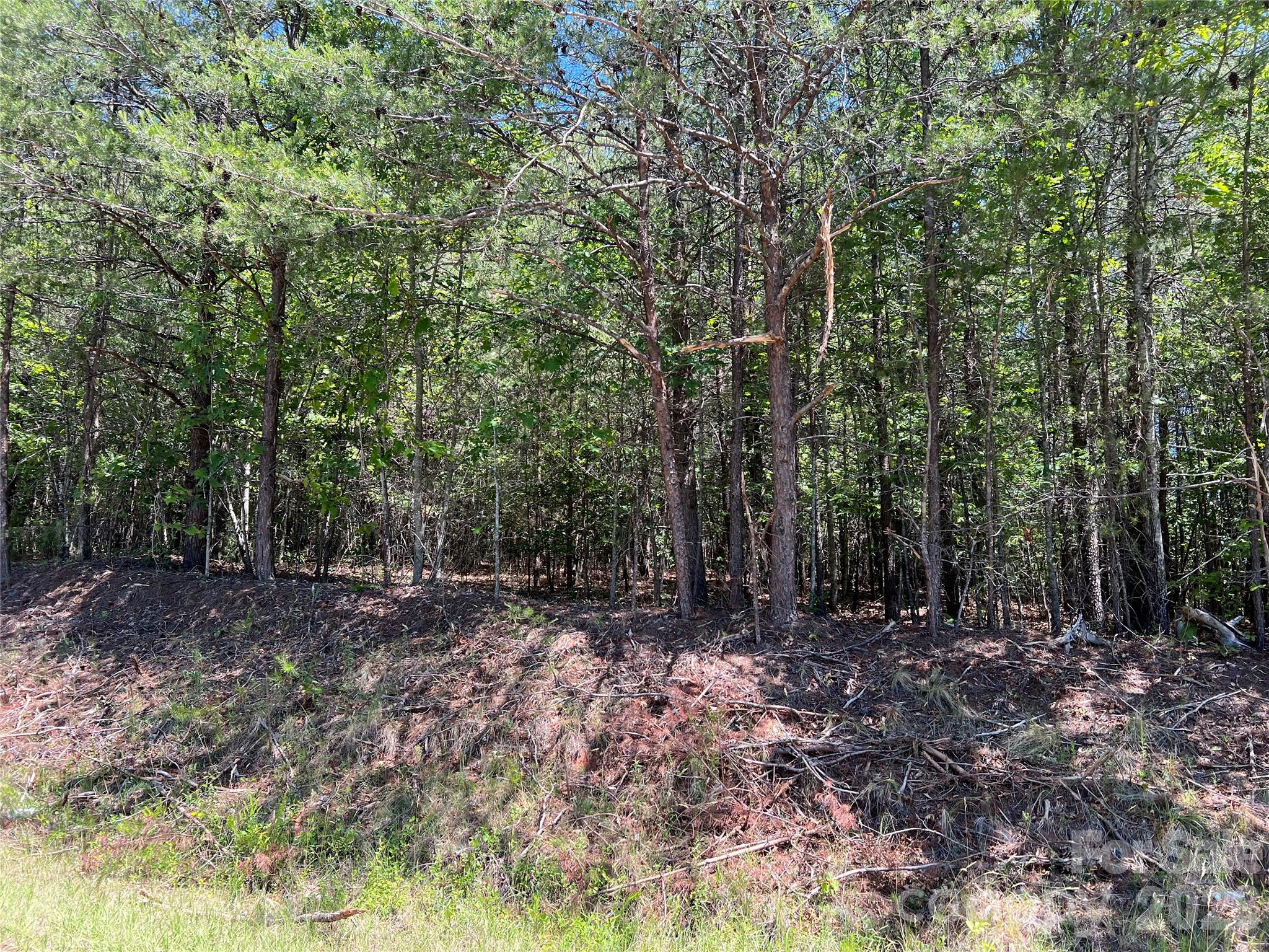 0 Luckadoo Mountain Road, Unit 177 Bostic, NC 28018 - Photo 11 of 11