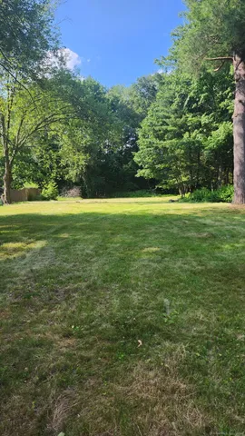 a view of a green field with trees