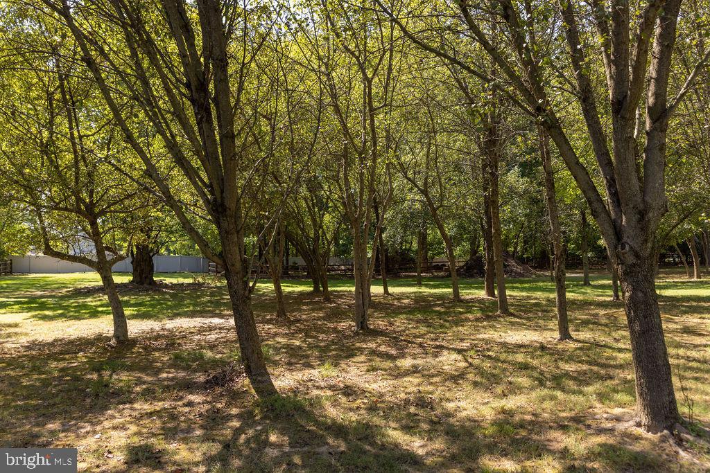 1613 Walton Road Blue Bell, PA 19422 - Photo 15 of 16 a view of open space with trees
