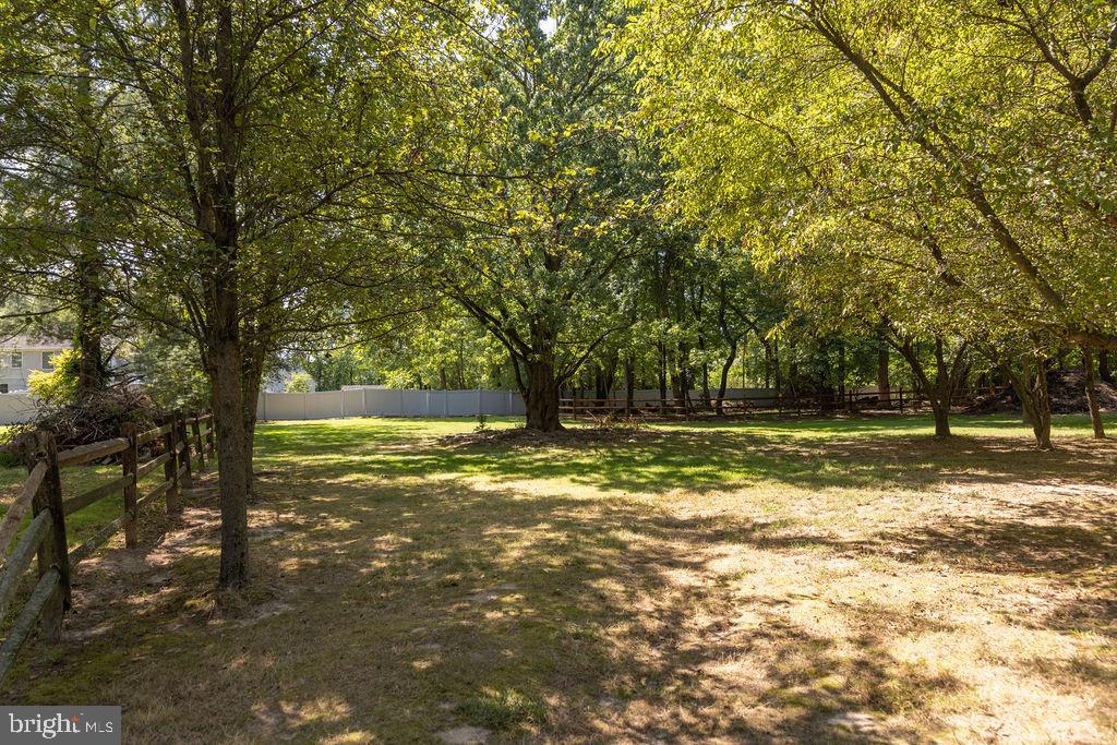 1613 Walton Road Blue Bell, PA 19422 - Photo 16 of 16 a view of a yard with a trees