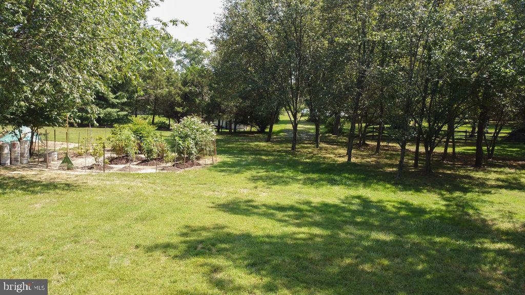 1613 Walton Road Blue Bell, PA 19422 - Photo 10 of 16 a view of swimming pool with a yard