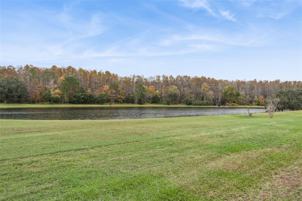 14643 Traders Path Orlando, FL 32837 - Photo 30 of 42