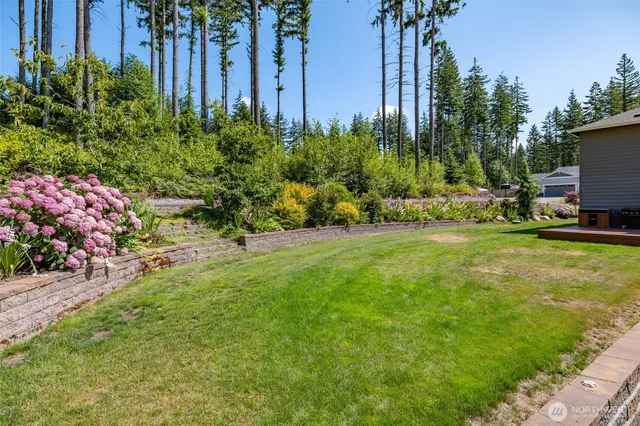 a view of a backyard with potted plants and large trees
