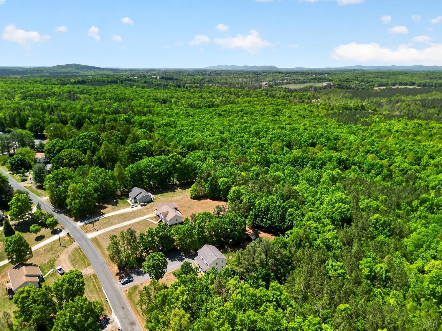 1301 Hummingbird Lane Spout Spring, VA 24593 - Photo 68 of 69 Gallery Image 68
