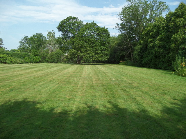 2030 Sunset Ridge Road Northfield, IL 60093 - Photo 8 of 20
