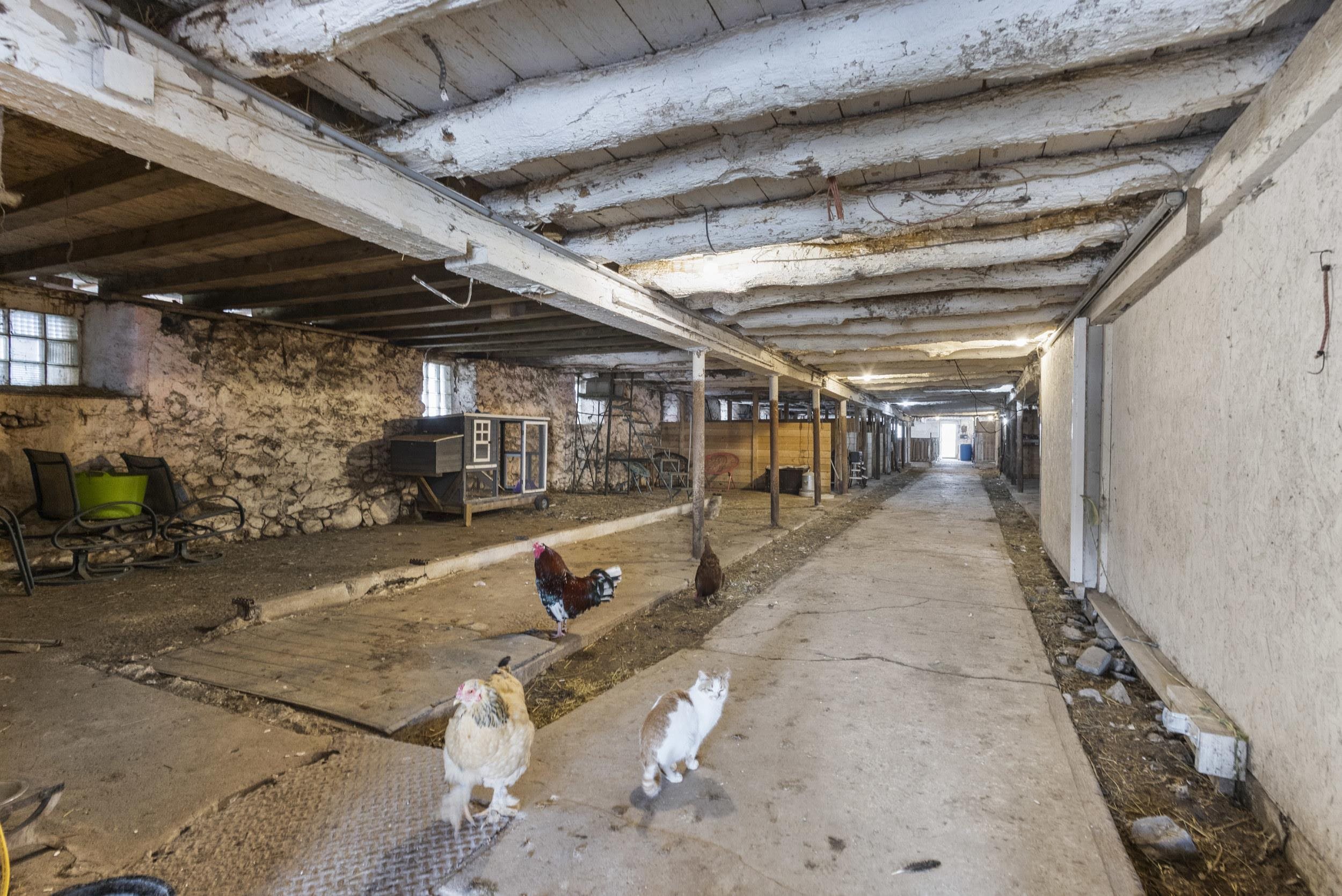 W3665 Faro Springs Road Hilbert, WI 54129 - Photo 52 of 77