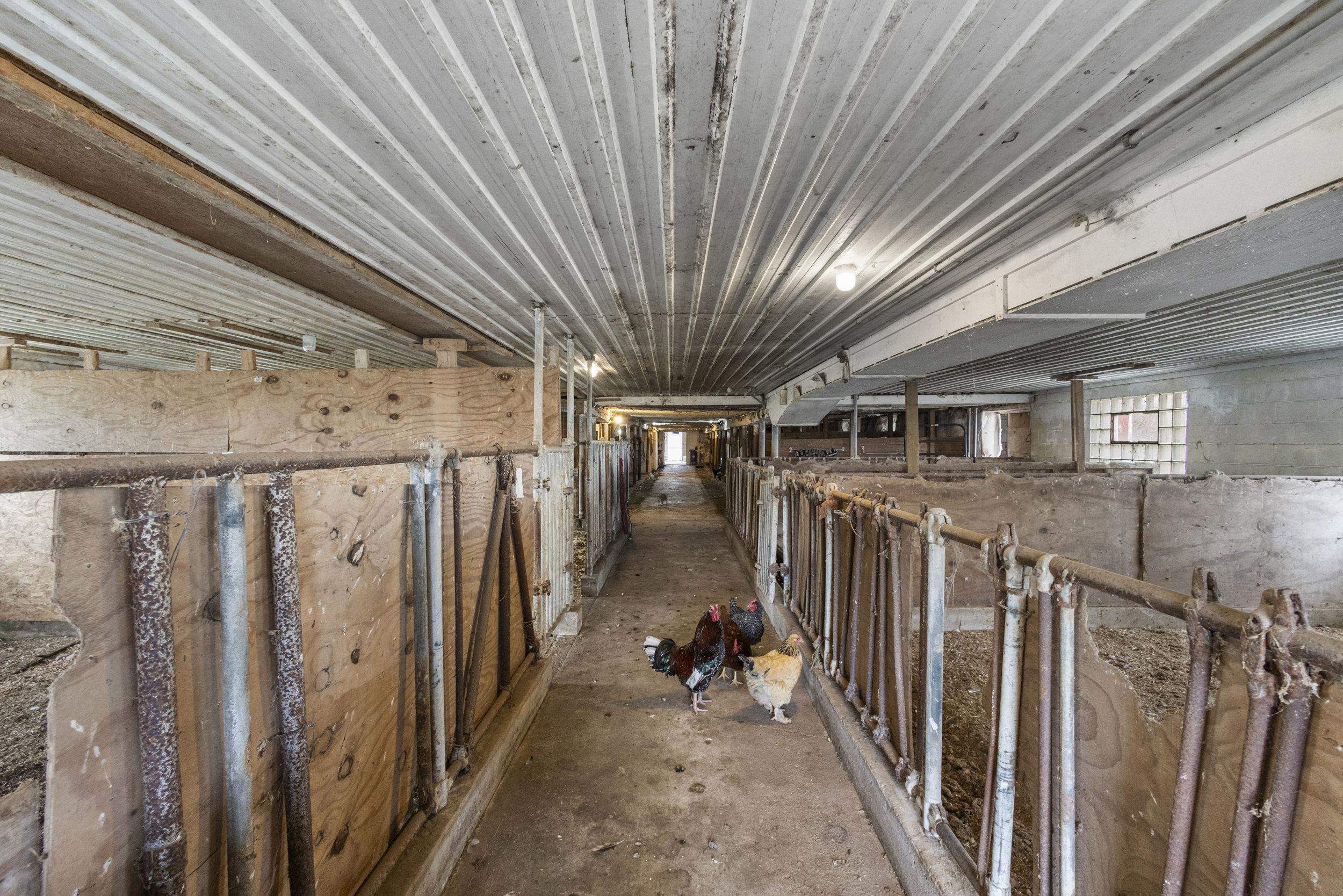 W3665 Faro Springs Road Hilbert, WI 54129 - Photo 56 of 77