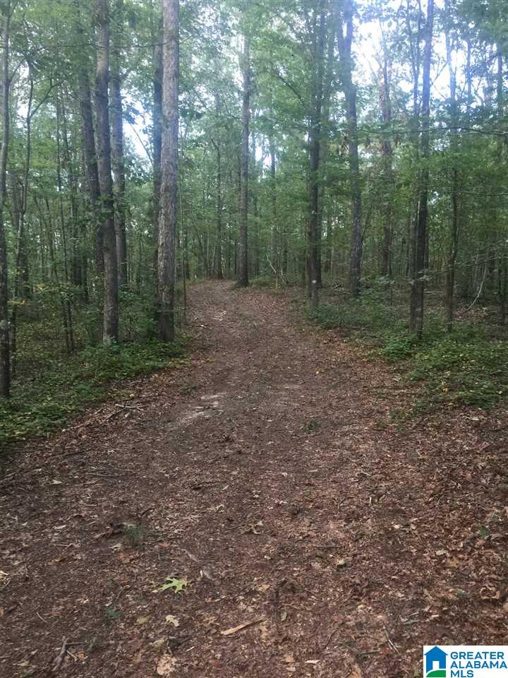 241 Sulphur Springs Road, Unit 9 89 ACRES Lincoln, AL 35096 - Photo 35 of 44