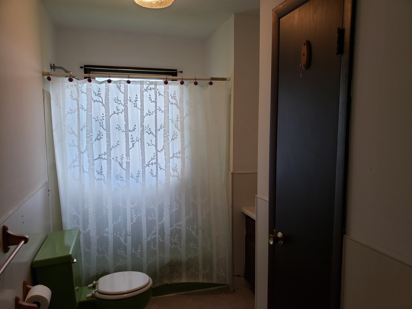 207 5th Street Cedar Point, IL 61316 - Photo 13 of 28