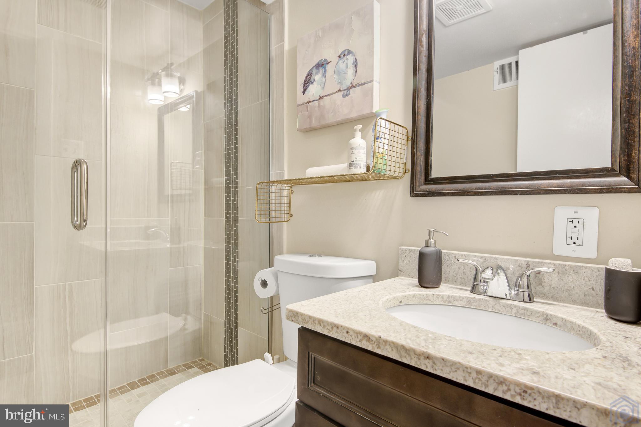 1002 La Grande Road Silver Spring, MD 20903 - Photo 23 of 33 Guest full bath on mid-level