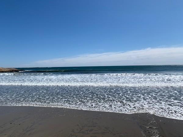 71 Long Beach Rockport, MA 01966 - Photo 18 of 18