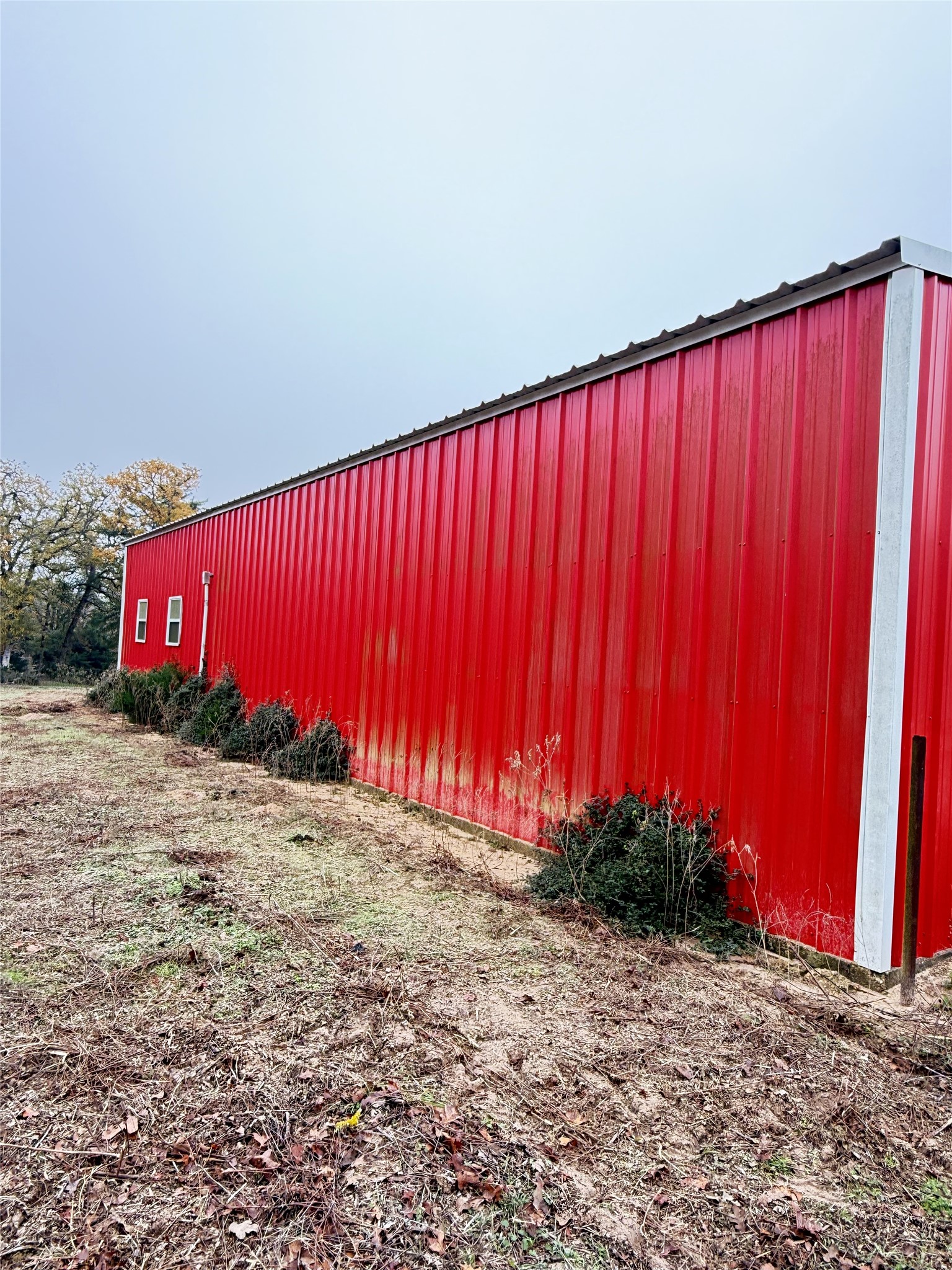 11791 Silver Springs Road Rockdale, TX 76567 - Photo 8 of 28 a view of a building with a street