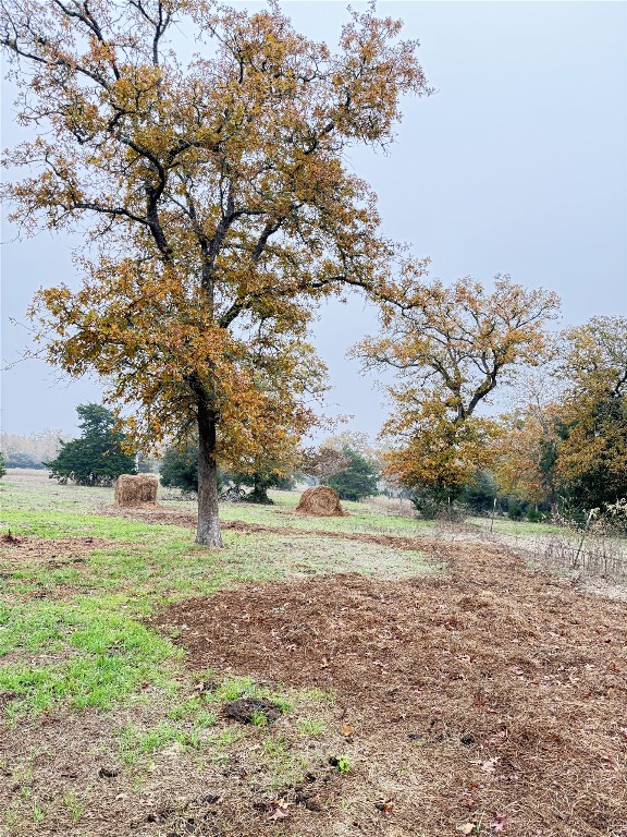 11791 Silver Springs Road Rockdale, TX 76567 - Photo 9 of 28 View of yard with a view of countryside