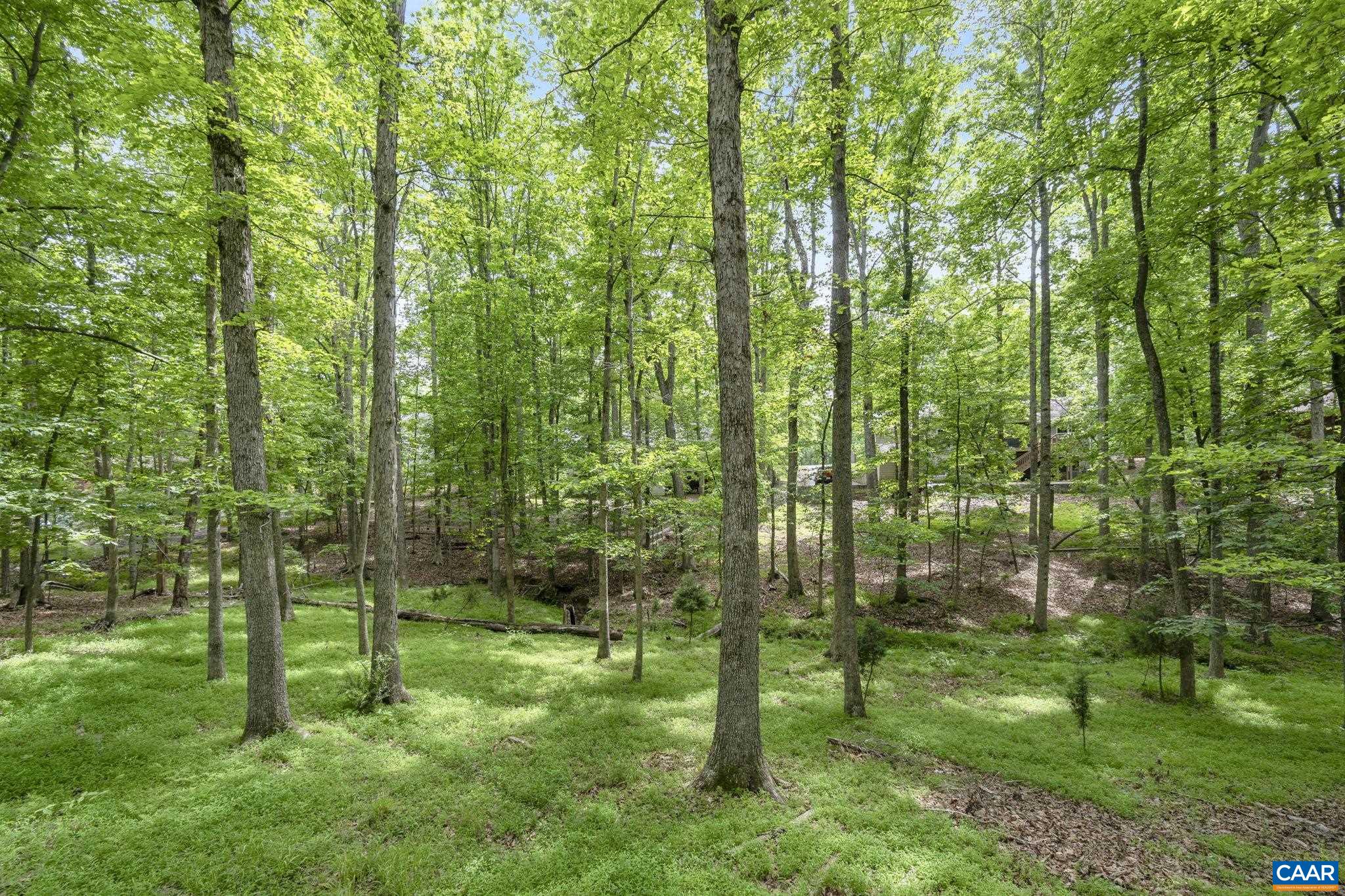 42 Oak Grove Road Palmyra, VA 22963 - Photo 36 of 37 a view of a garden
