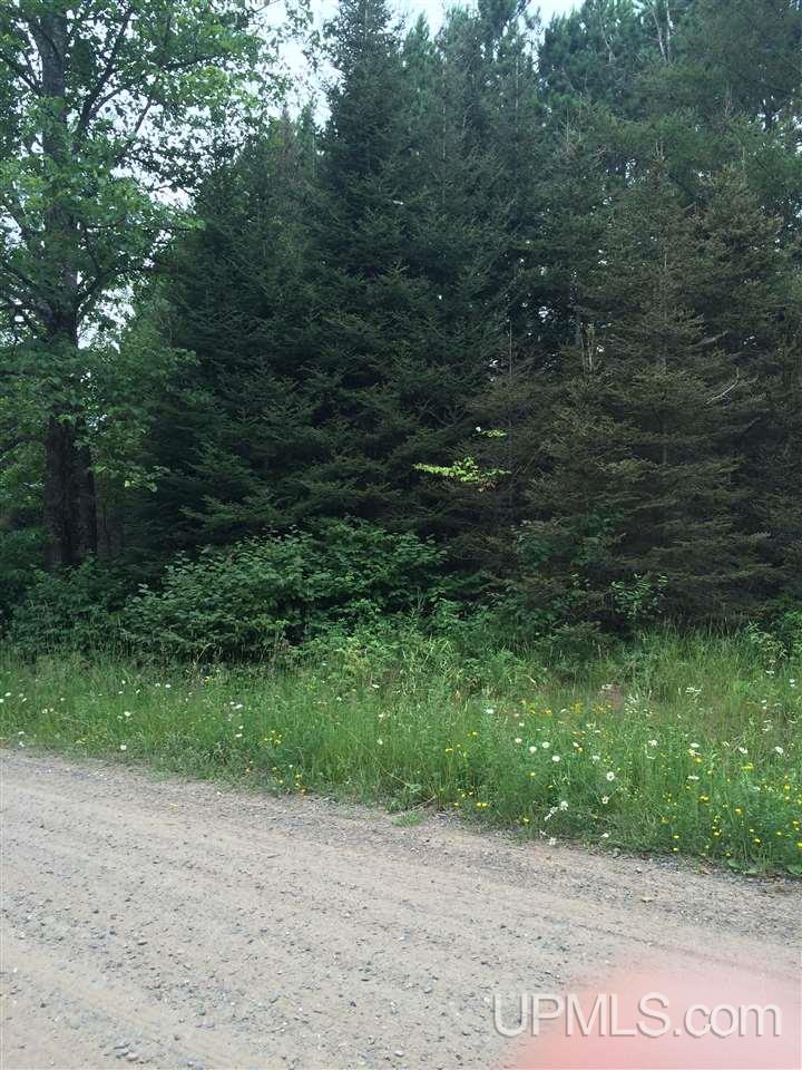 Tbd Angeli Road, Unit 18 Iron River, MI 49935 - Photo 4 of 7