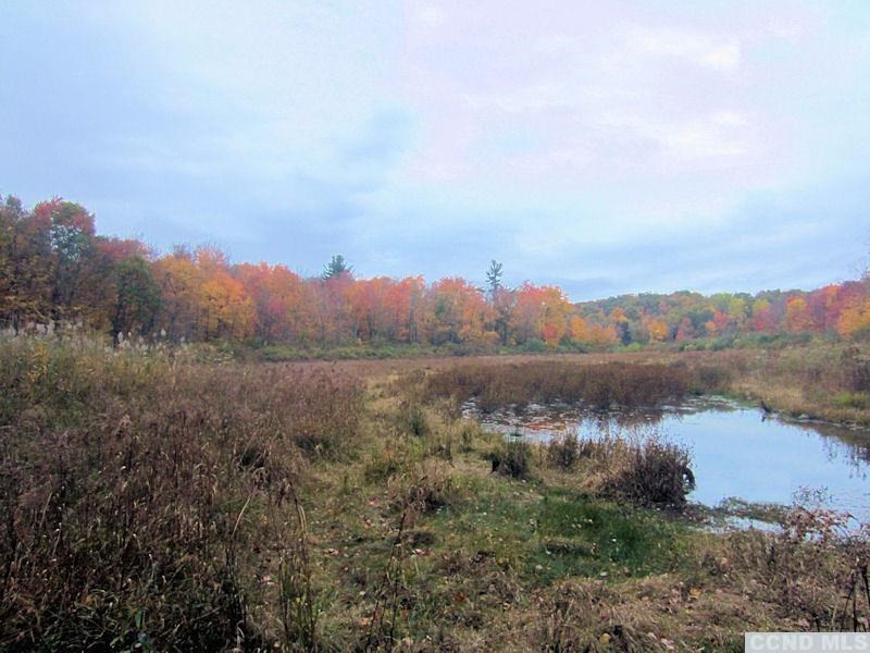 199-approx # Lakeview Road Copake, NY 12529 - Photo 3 of 13 a view of lake with mountain in the background