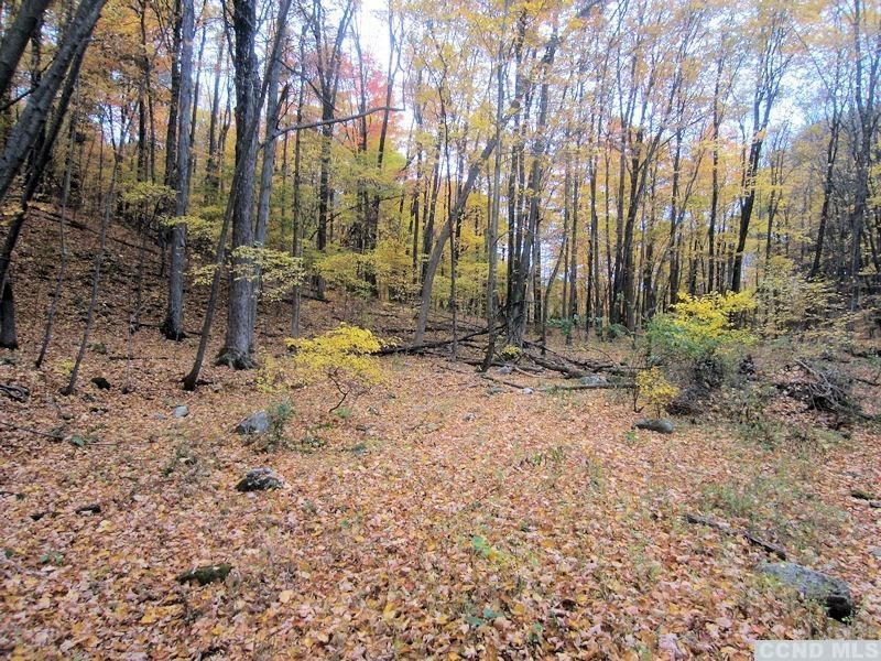 199-approx # Lakeview Road Copake, NY 12529 - Photo 4 of 13 a view of a backyard with large trees