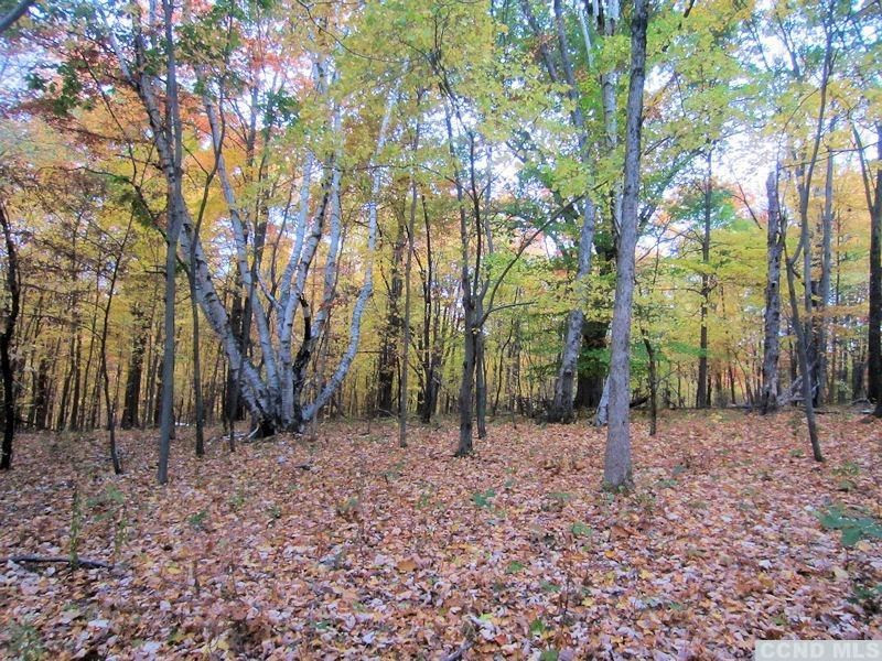 199-approx # Lakeview Road Copake, NY 12529 - Photo 10 of 13 a backyard of a house with lots of green space