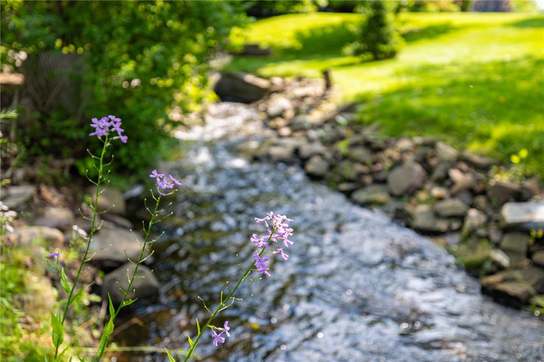 658 Willow Lane Webster, NY 14580 - Photo 40 of 46