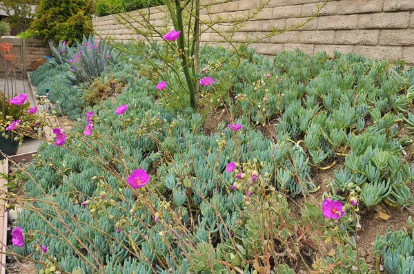 $6,000 | 1502 Briarglen Avenue, Westlake Village, CA 91361