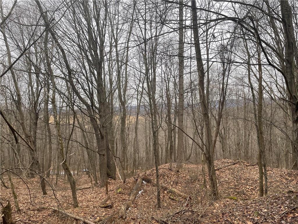 0 Marietta Road Ligonier, PA 15658 - Photo 1 of 8 Gallery Image 1