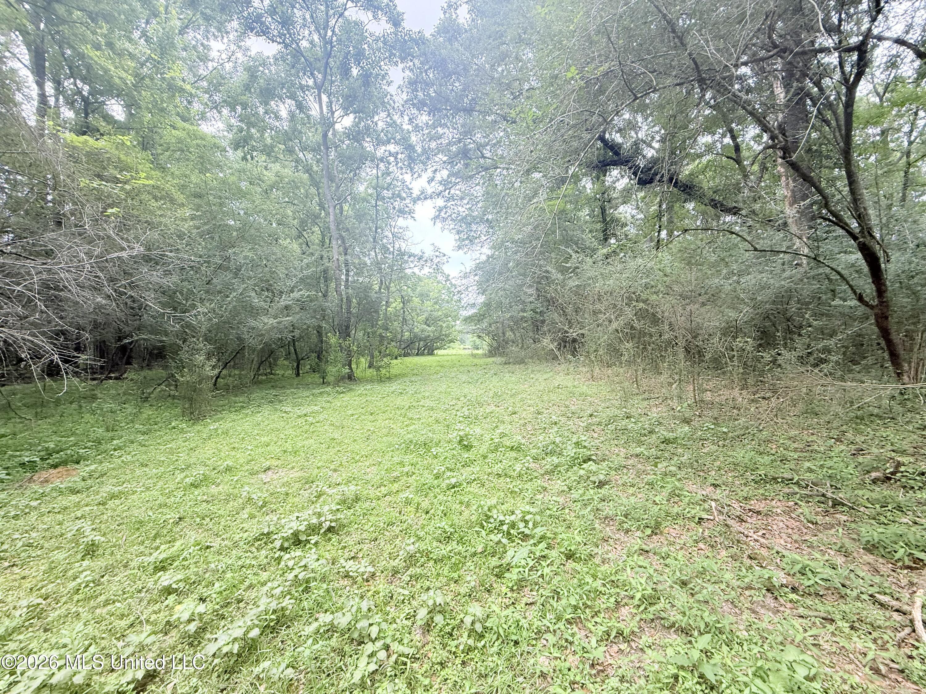 1015 Highway 51 Summit, MS 39666 - Photo 21 of 32 IMG_6646
