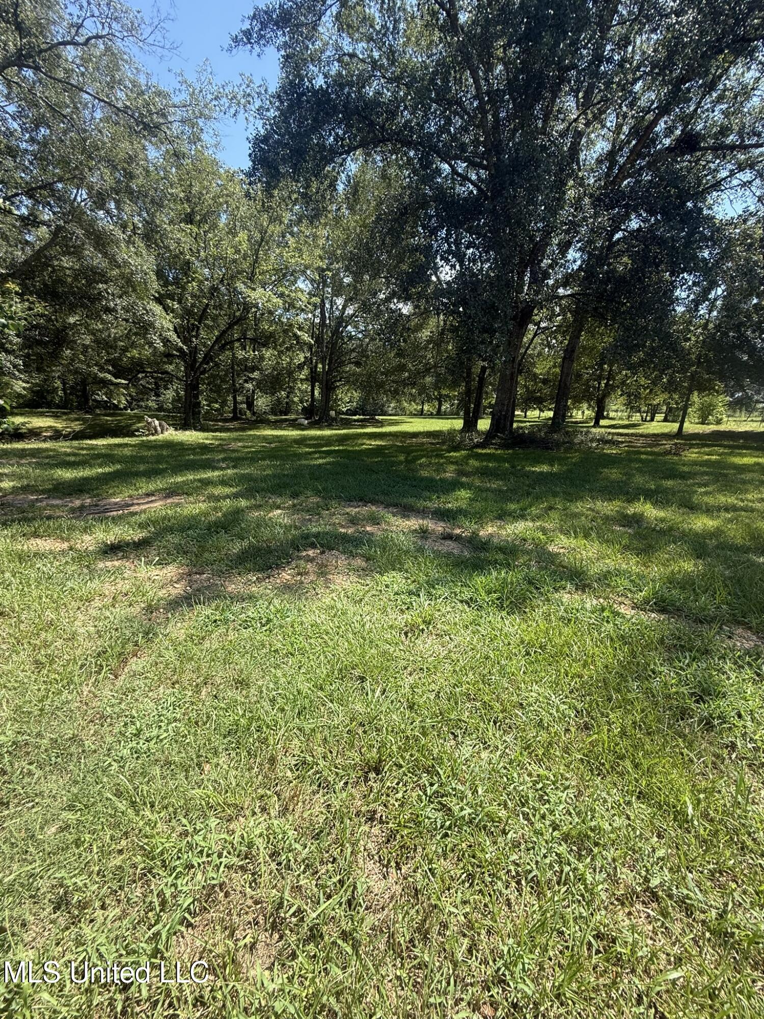 1184 Poplar Springs Road Hazlehurst, MS 39083 - Photo 12 of 44 IMG_9661