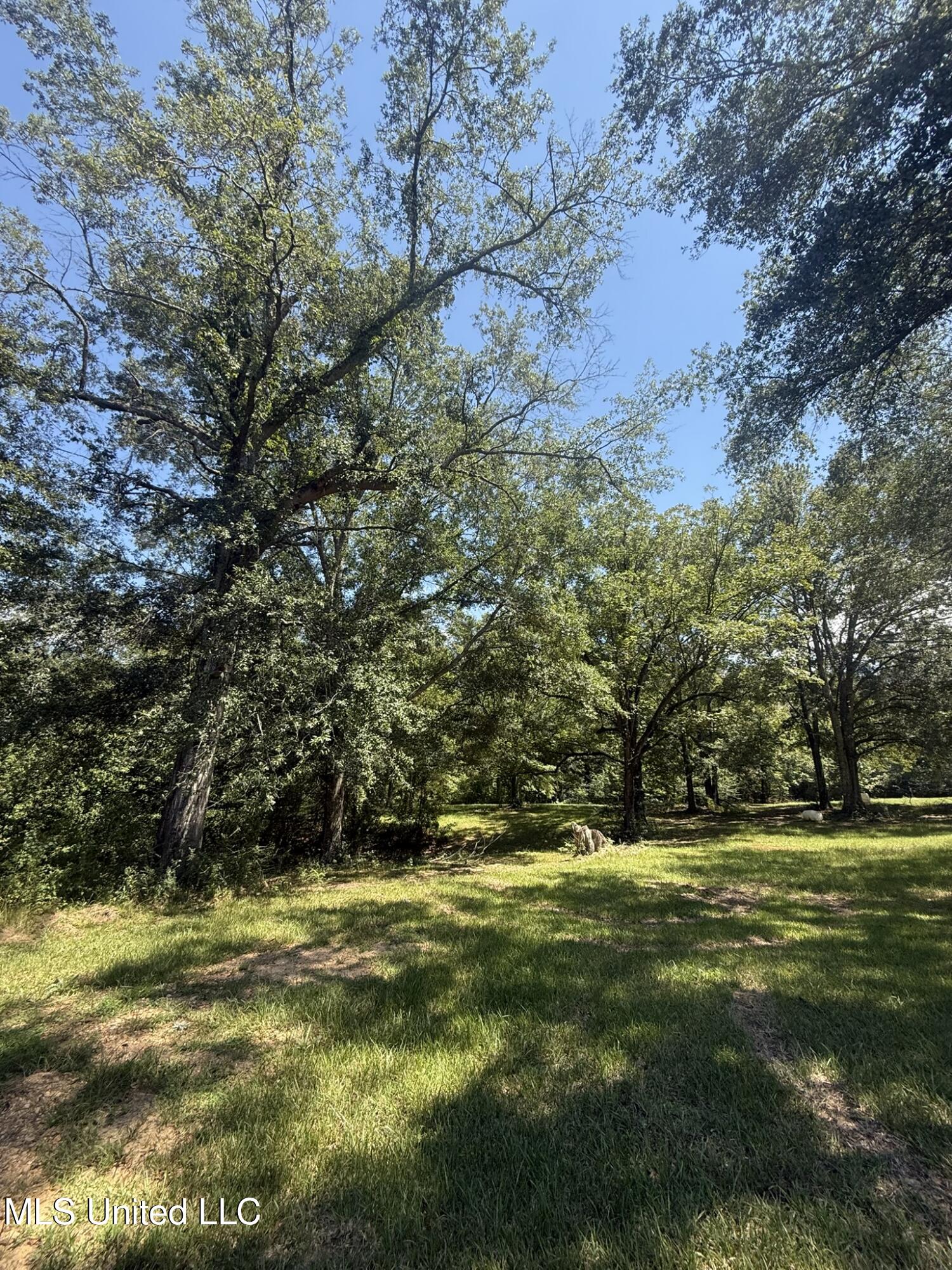 1184 Poplar Springs Road Hazlehurst, MS 39083 - Photo 13 of 44 IMG_9662