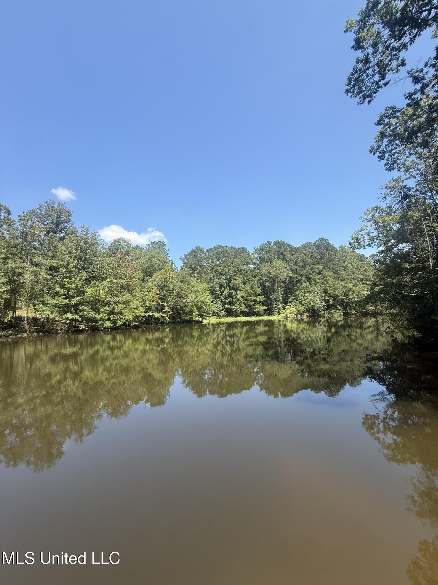 1184 Poplar Springs Road Hazlehurst, MS 39083 - Photo 14 of 44 IMG_9663