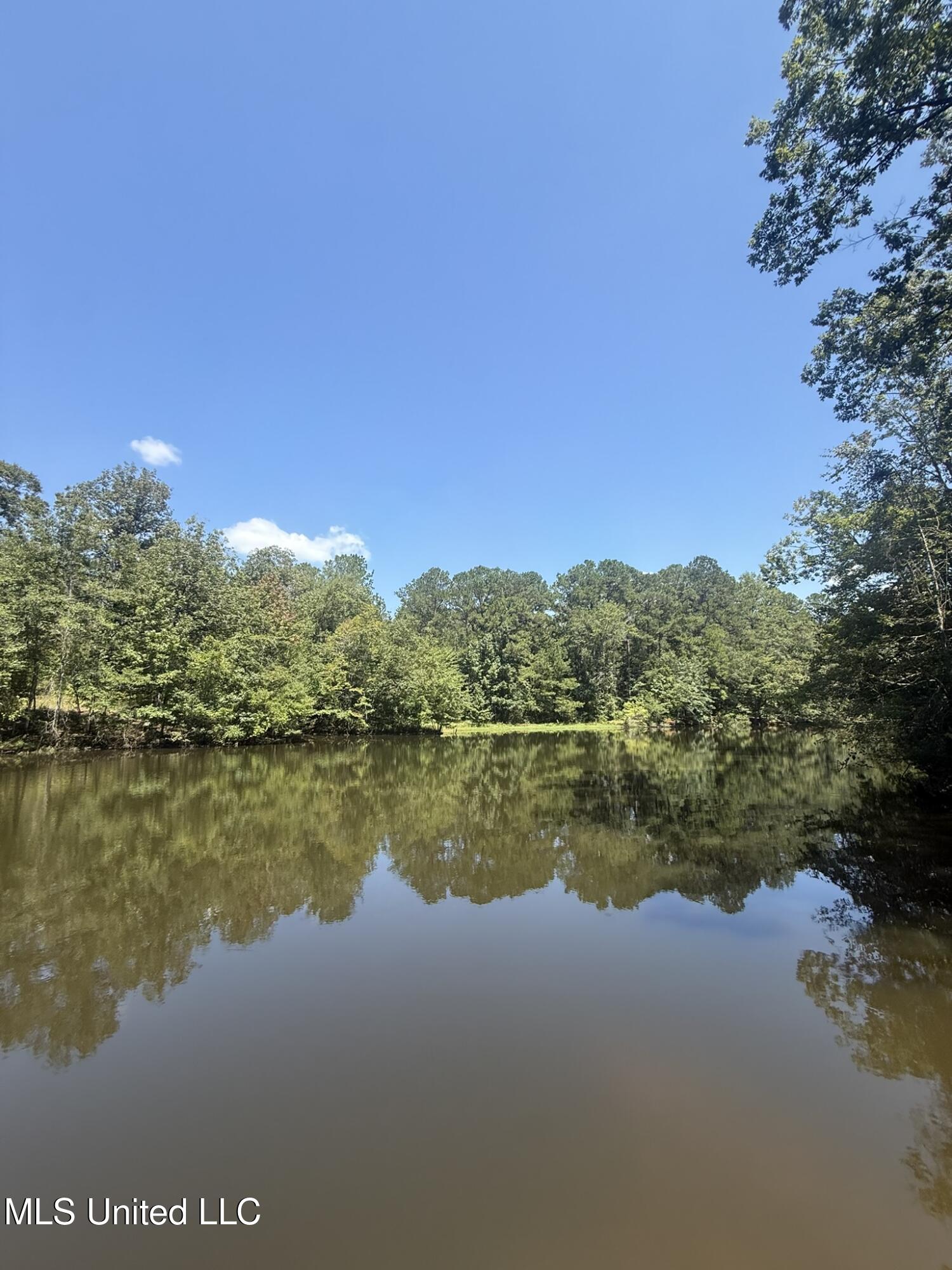 1184 Poplar Springs Road Hazlehurst, MS 39083 - Photo 15 of 44 IMG_9664