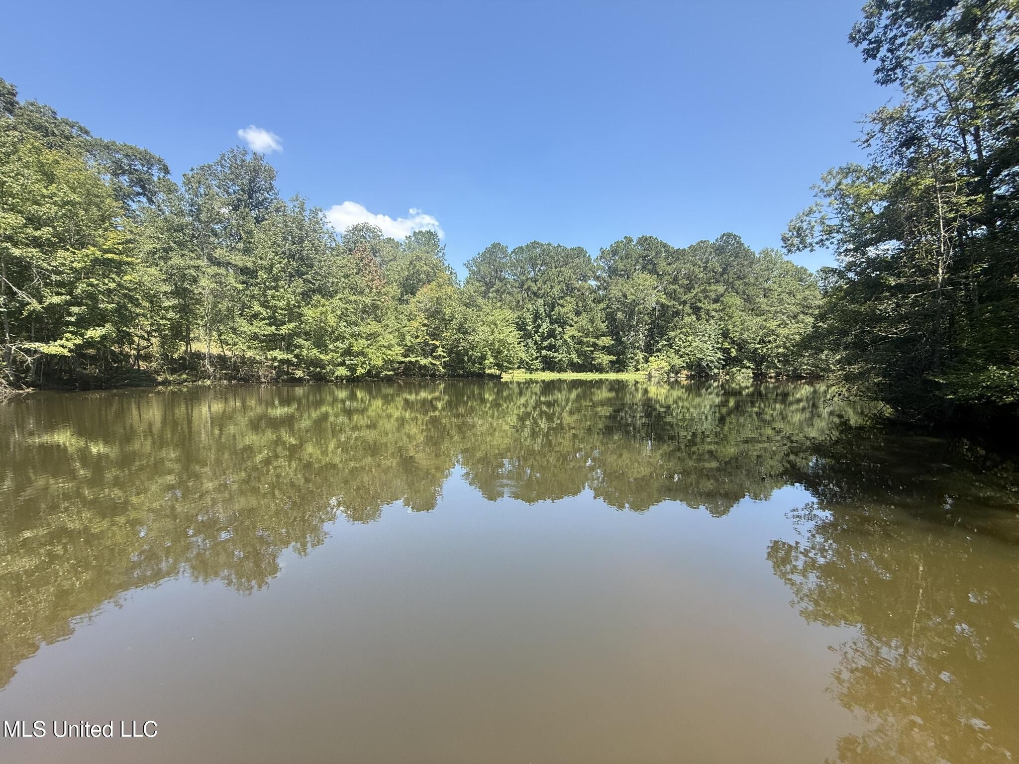 1184 Poplar Springs Road Hazlehurst, MS 39083 - Photo 16 of 44 IMG_9665