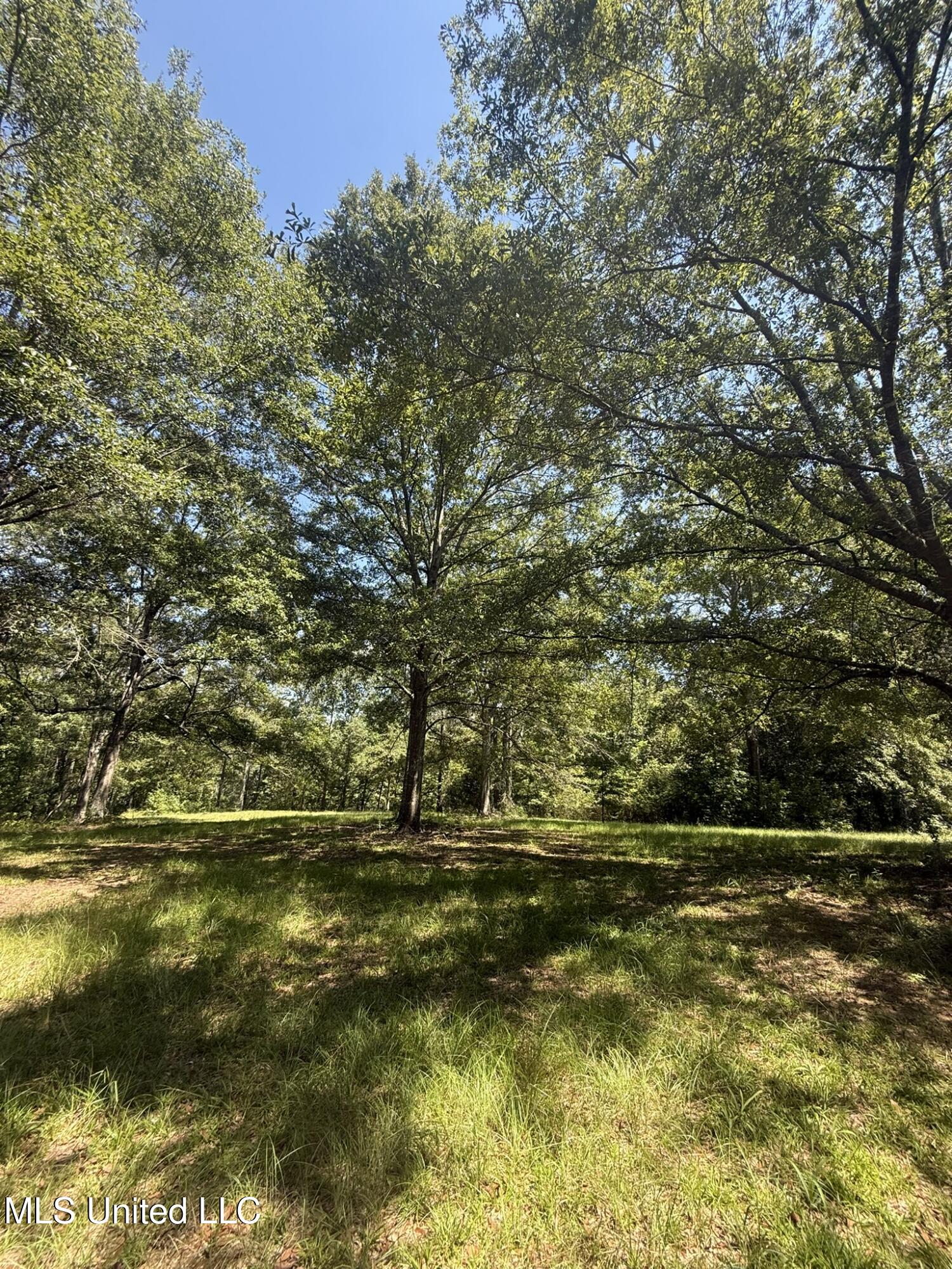 1184 Poplar Springs Road Hazlehurst, MS 39083 - Photo 18 of 44 IMG_9667