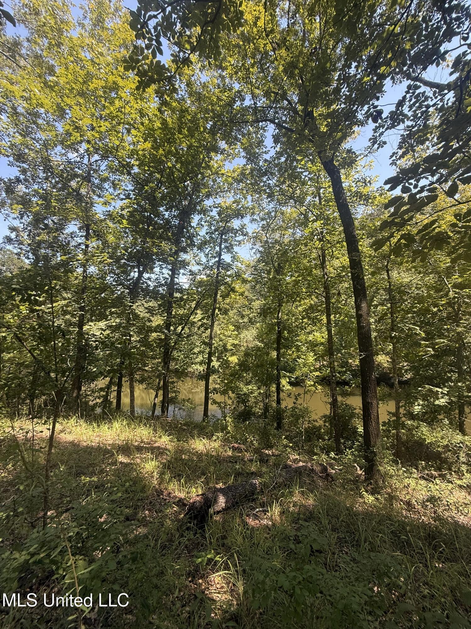 1184 Poplar Springs Road Hazlehurst, MS 39083 - Photo 19 of 44 IMG_9669