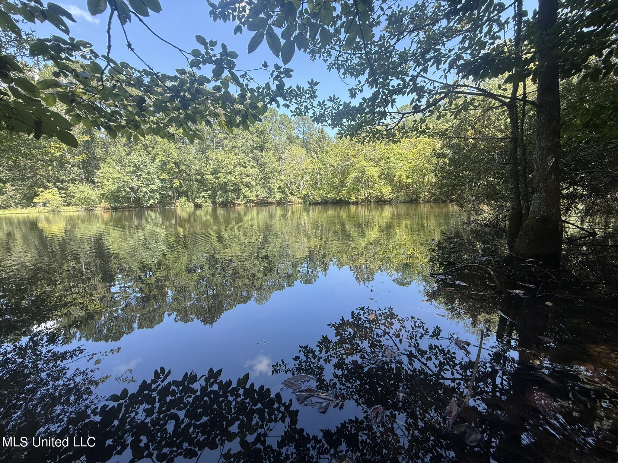 1184 Poplar Springs Road Hazlehurst, MS 39083 - Photo 20 of 44 IMG_9670
