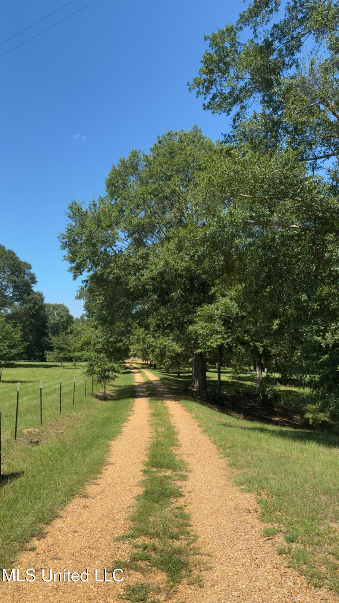 1184 Poplar Springs Road Hazlehurst, MS 39083 - Photo 2 of 44 IMG_9651