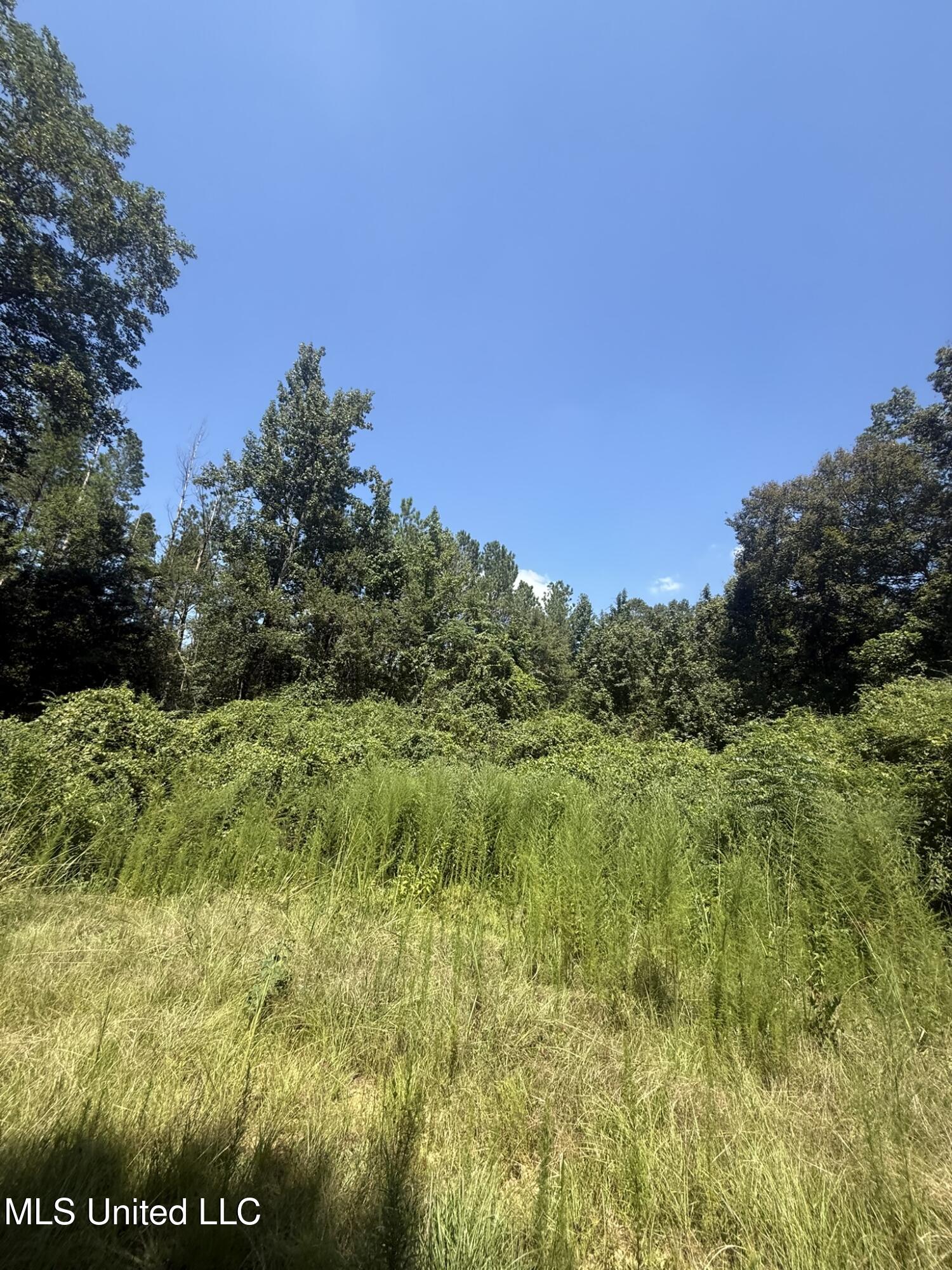 1184 Poplar Springs Road Hazlehurst, MS 39083 - Photo 21 of 44 IMG_9671