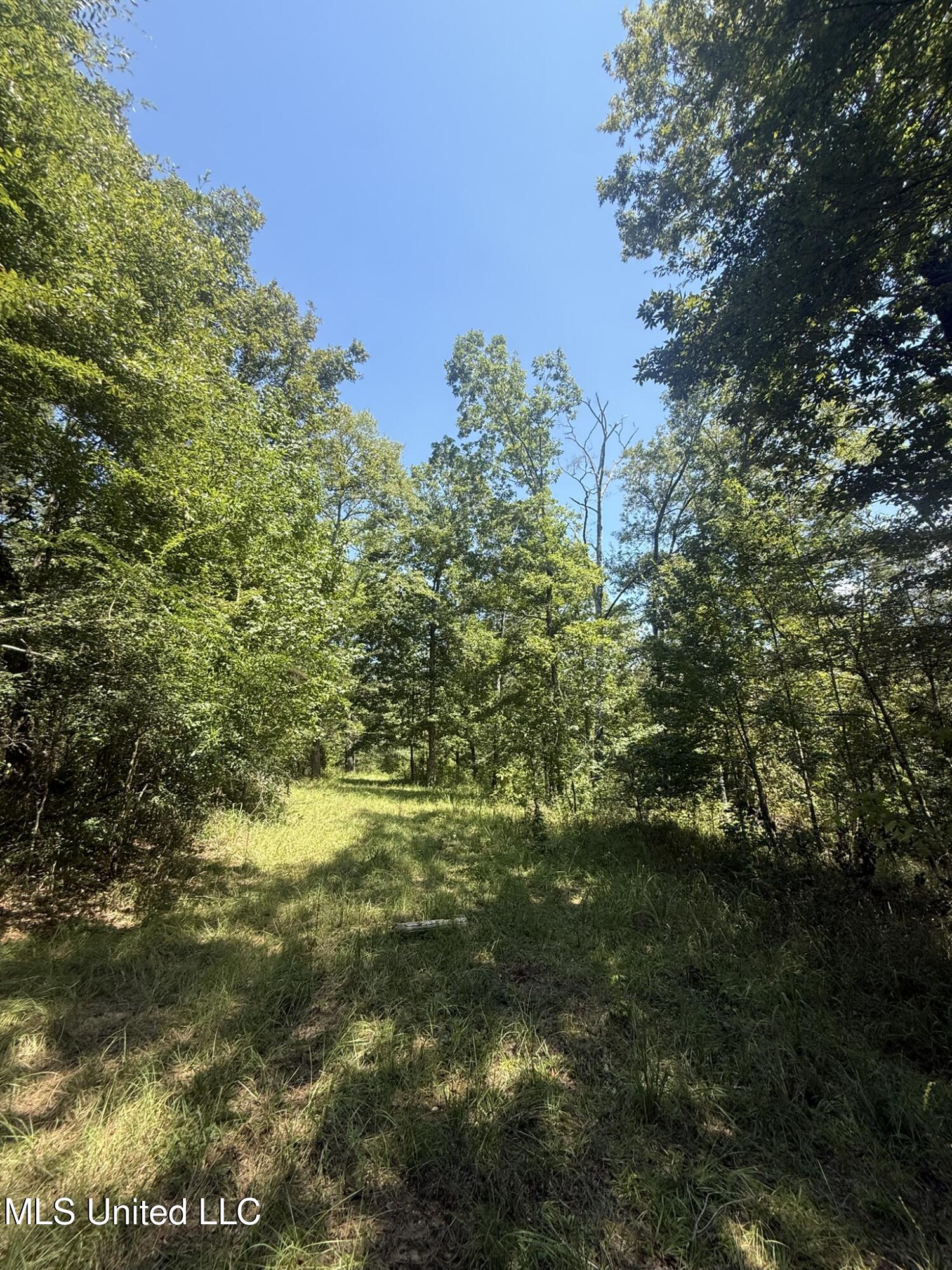 1184 Poplar Springs Road Hazlehurst, MS 39083 - Photo 23 of 44 IMG_9674