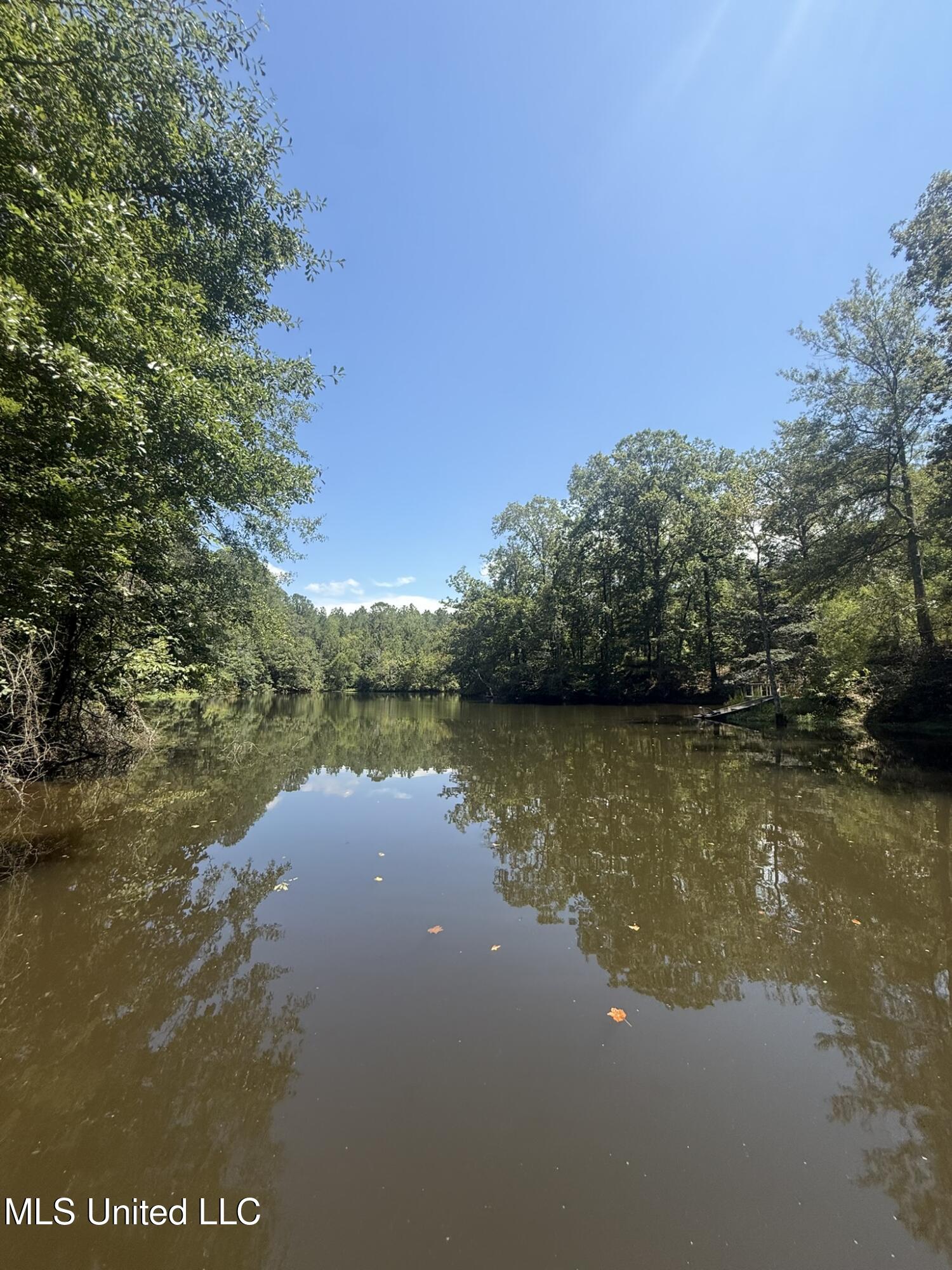 1184 Poplar Springs Road Hazlehurst, MS 39083 - Photo 24 of 44 IMG_9676