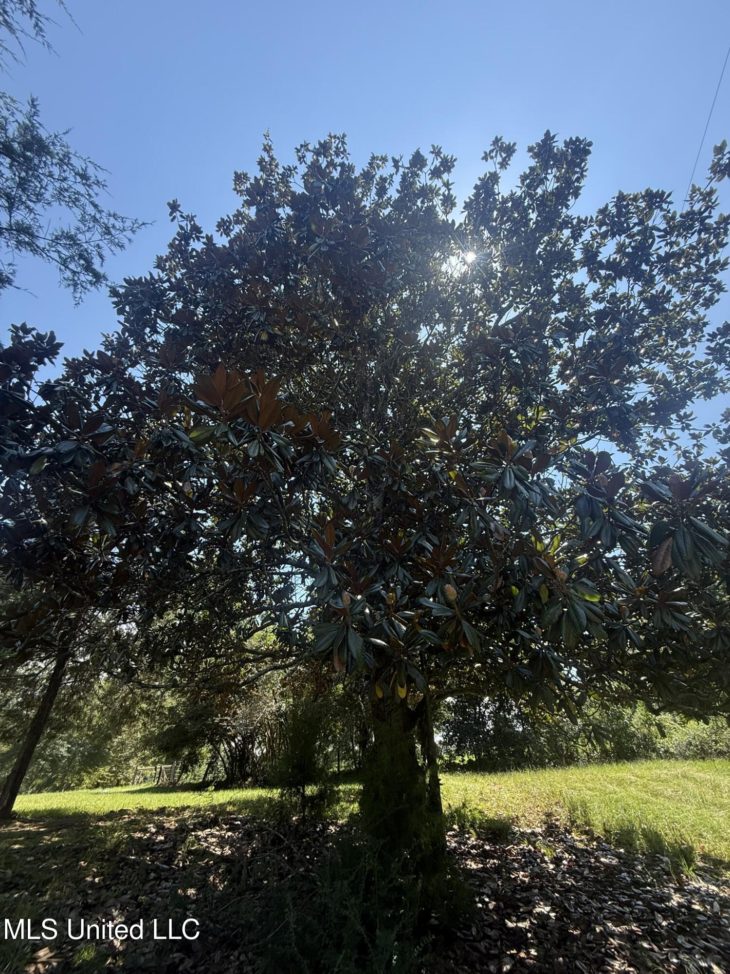 1184 Poplar Springs Road Hazlehurst, MS 39083 - Photo 25 of 44 IMG_9679