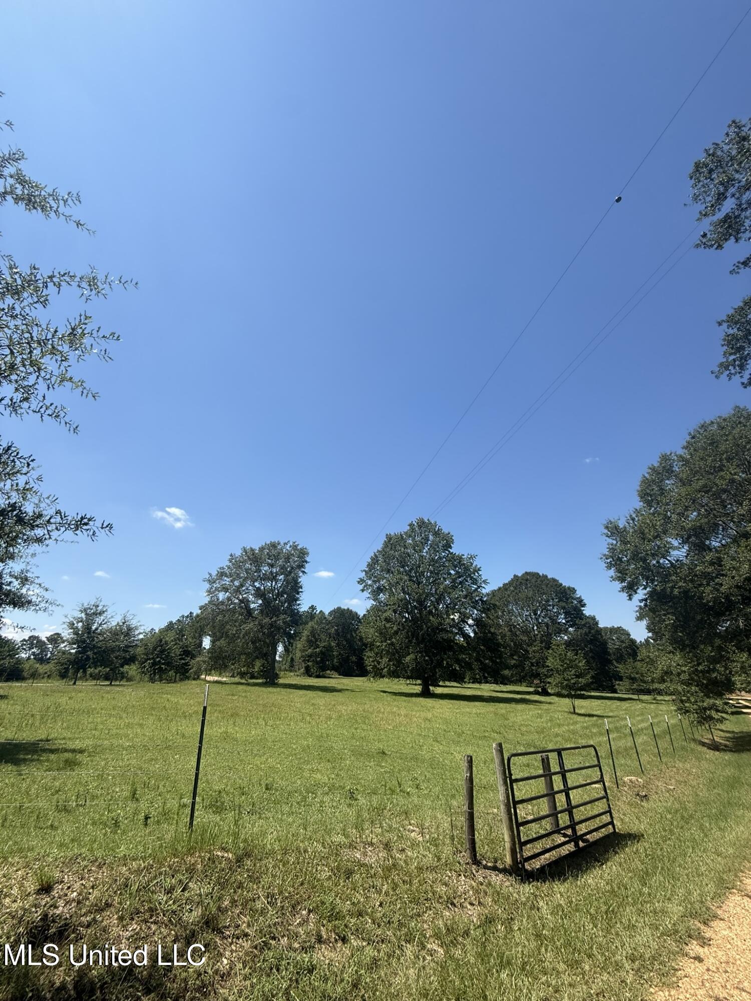 1184 Poplar Springs Road Hazlehurst, MS 39083 - Photo 3 of 44 IMG_9652