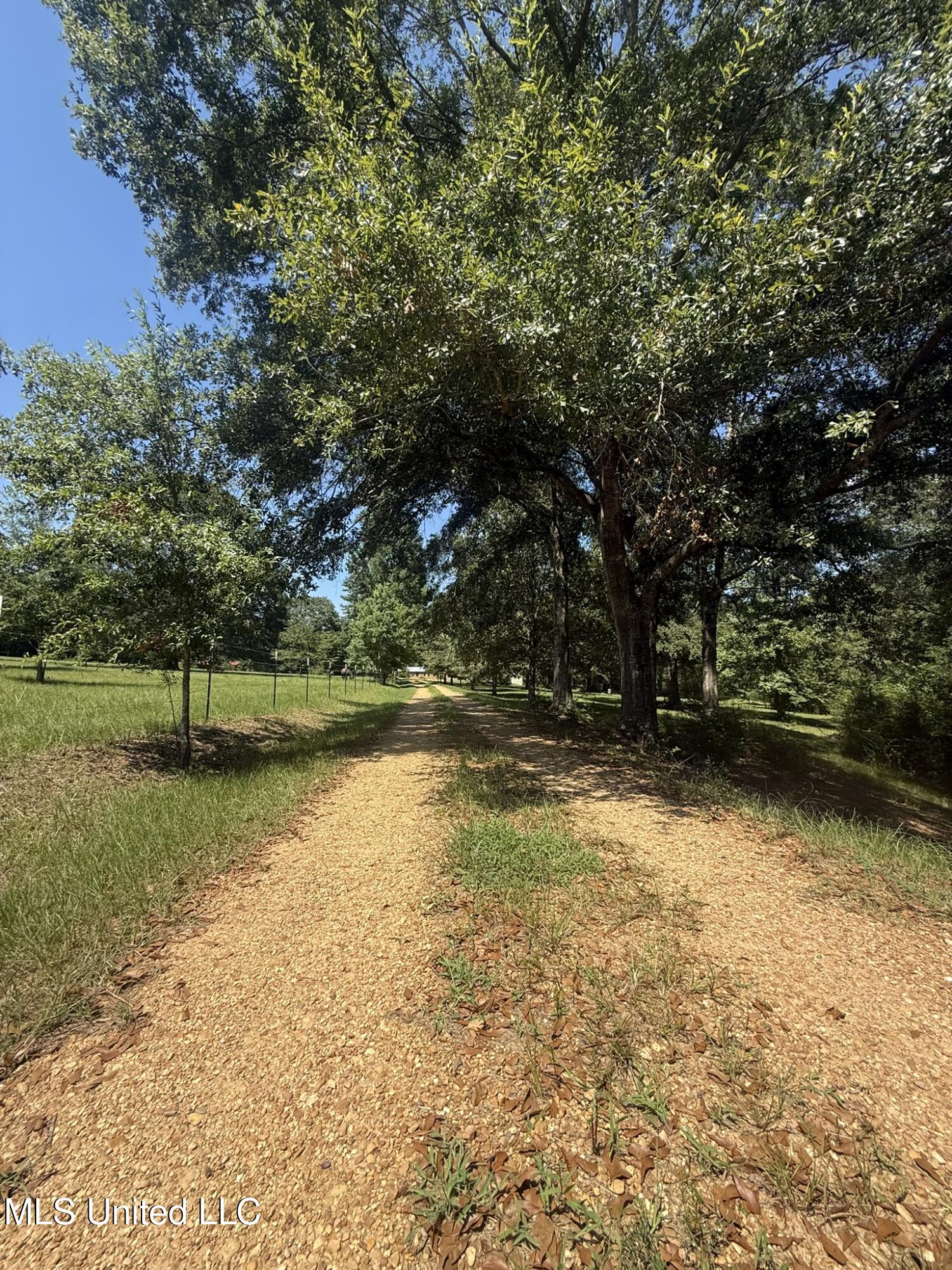 1184 Poplar Springs Road Hazlehurst, MS 39083 - Photo 4 of 44 IMG_9653