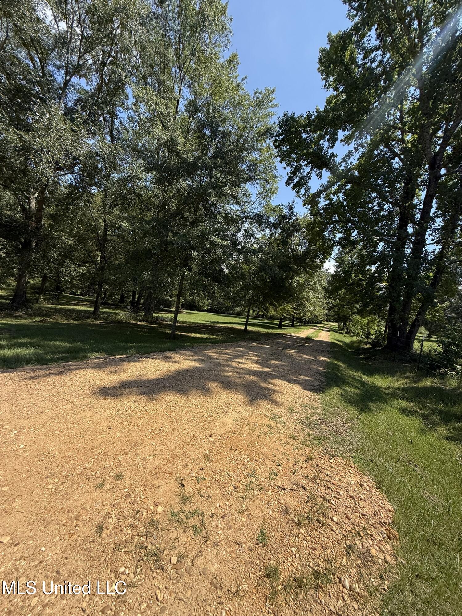 1184 Poplar Springs Road Hazlehurst, MS 39083 - Photo 44 of 44 IMG_9698