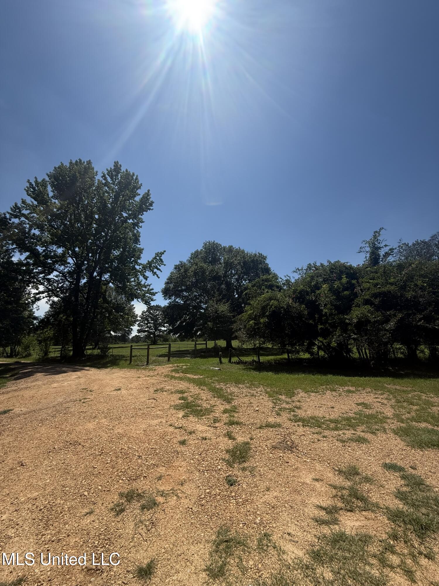 1184 Poplar Springs Road Hazlehurst, MS 39083 - Photo 6 of 44 IMG_9655