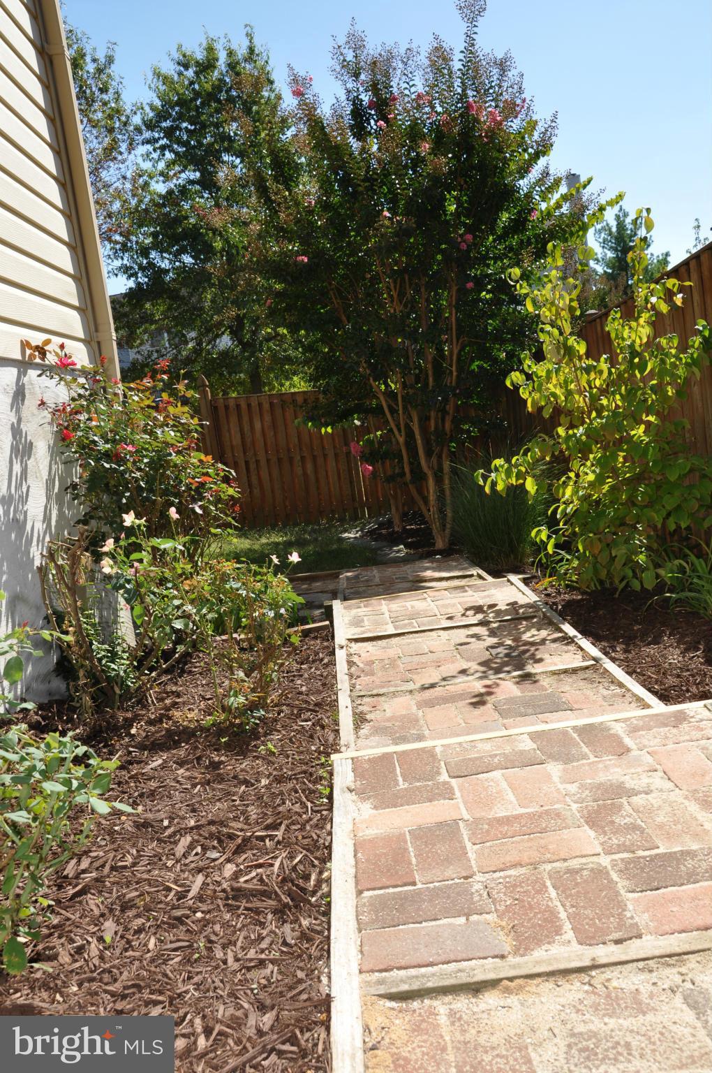 2433 Warm Spring Way Odenton, MD 21113 - Photo 2 of 28 SIde Walking Leading to Back Yard
