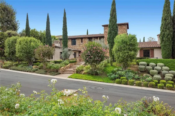 a view of a street with flower plants