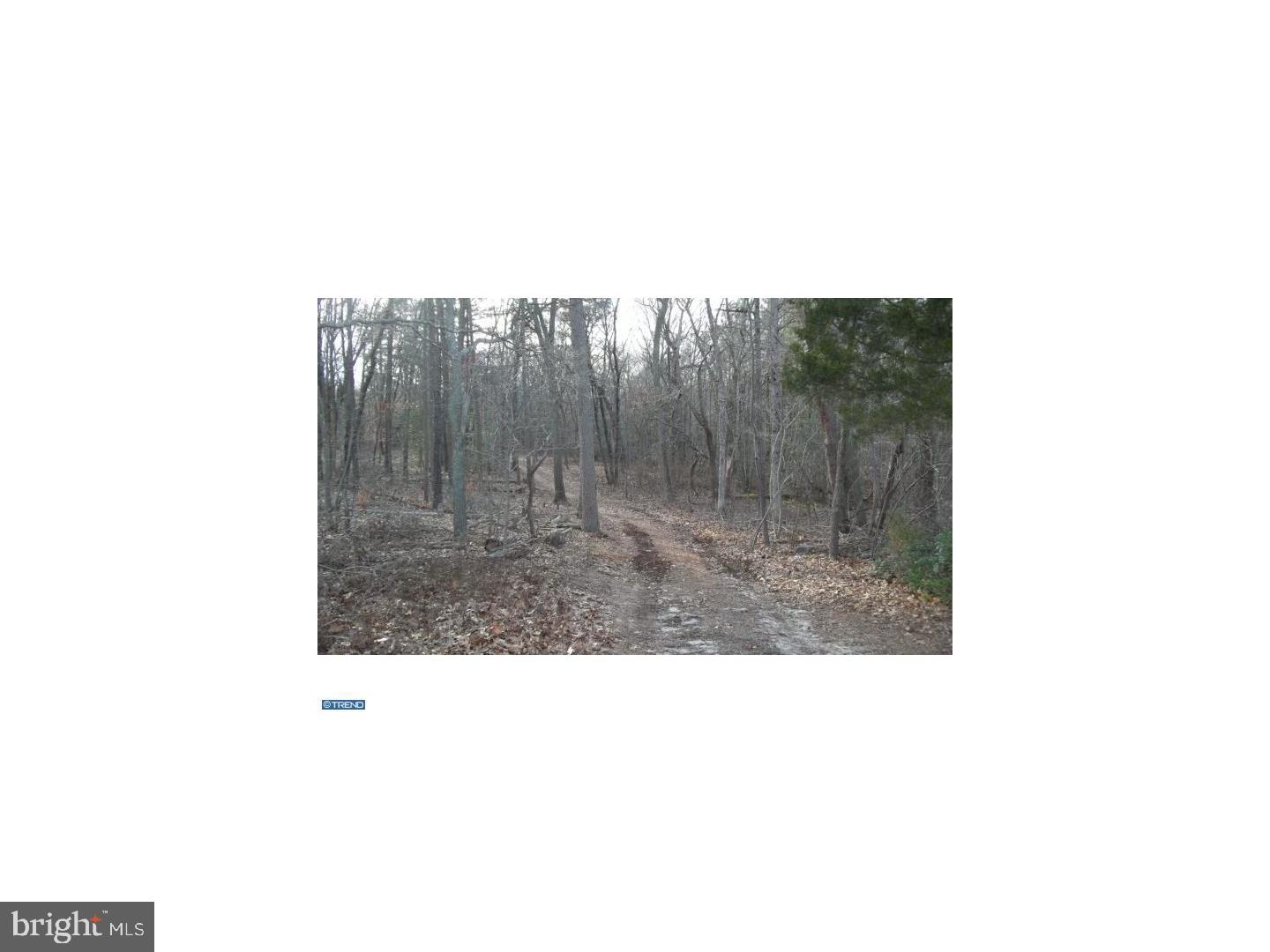 0 Quinton-Marlboro Road Salem, NJ 08079 - Photo 6 of 13