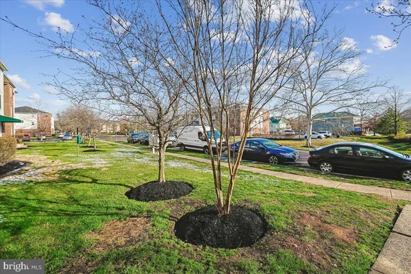 a view of a garden with a tree in front of it